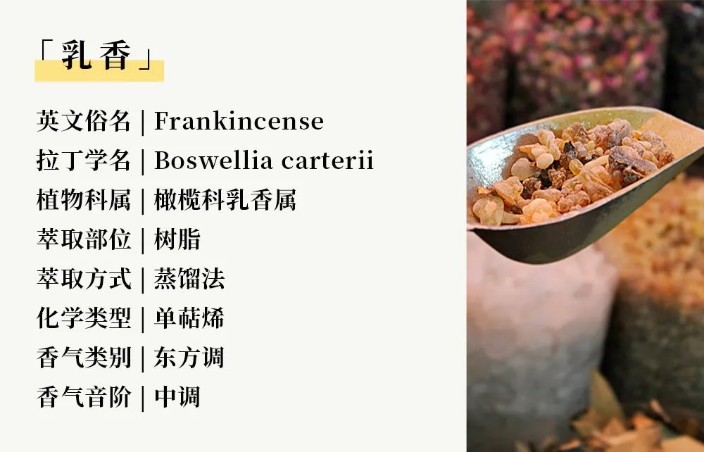 202405142075.jpg 树脂03.jpg