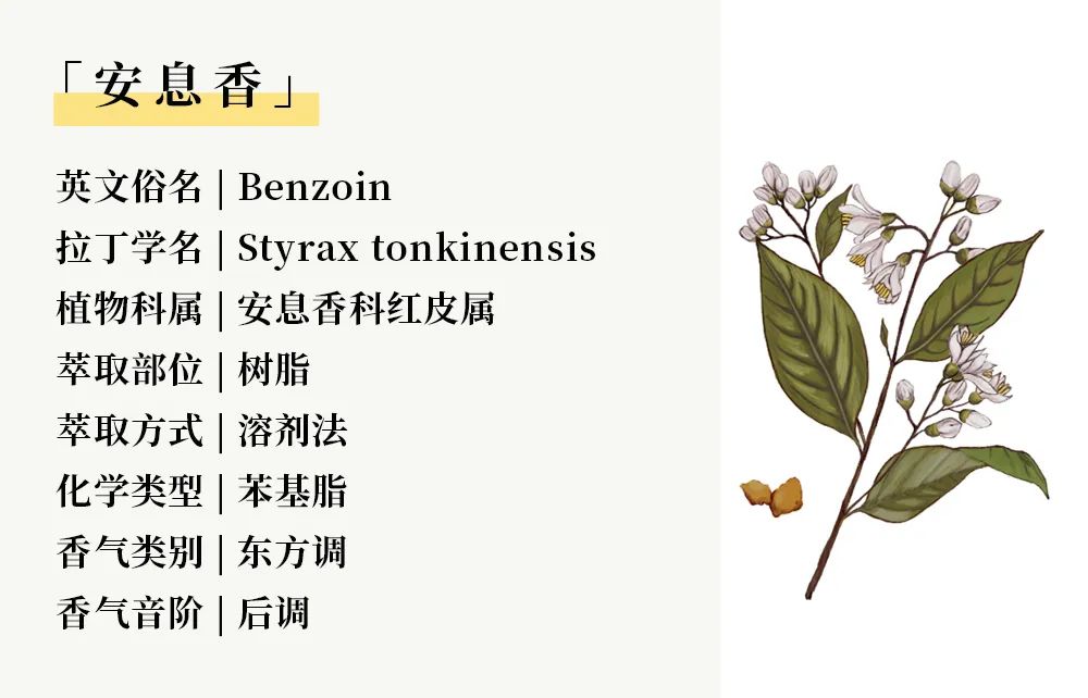 202405142988.jpg 树脂09.jpg