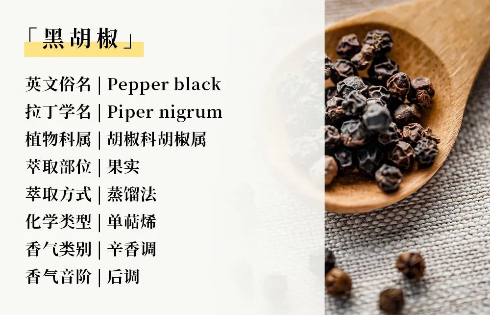 暖身精油07.png